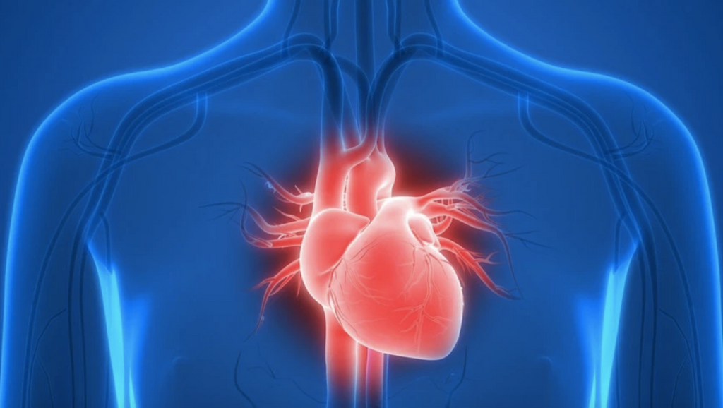 7 Ways to Strengthen Your Heart