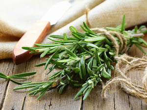 11 Amazing Health Benefits of Rosemary